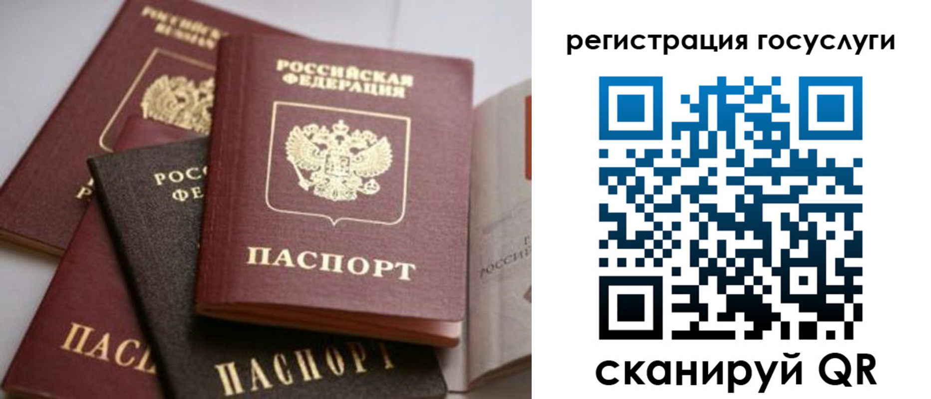 пропишу в квартире в Белой Калитве